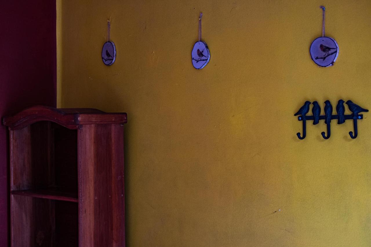 Hostal Pochon Oaxaca Esterno foto